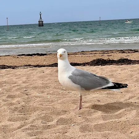 La Maison Des Copains - En Bessin - 13 People * Port-en-Bessin-Huppain